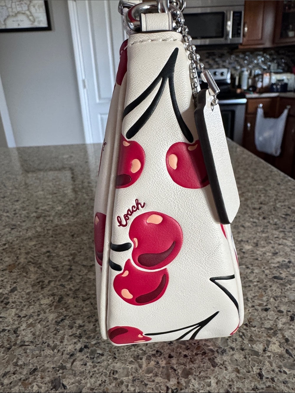 πCoachTeri Shoulder Bag With Cherry Print #CZ774π LIKE NEWπ - Picture 5 of 17